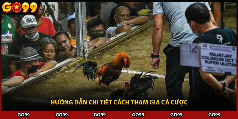 Hướng dẫn chi tiết cách tham gia cá cược